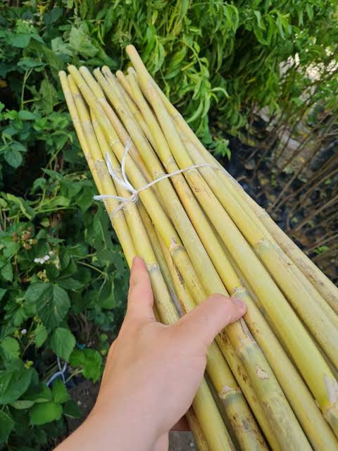 Hasır Örgü Malzeme